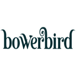 Bowerbird 2023